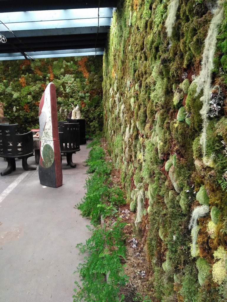 Stunning Moss Walls in Louisville, KY